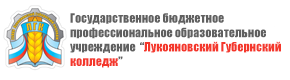Лукояновский Губернский колледж